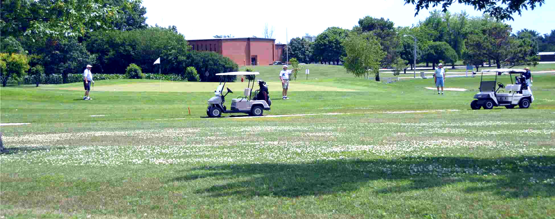 golfcourse